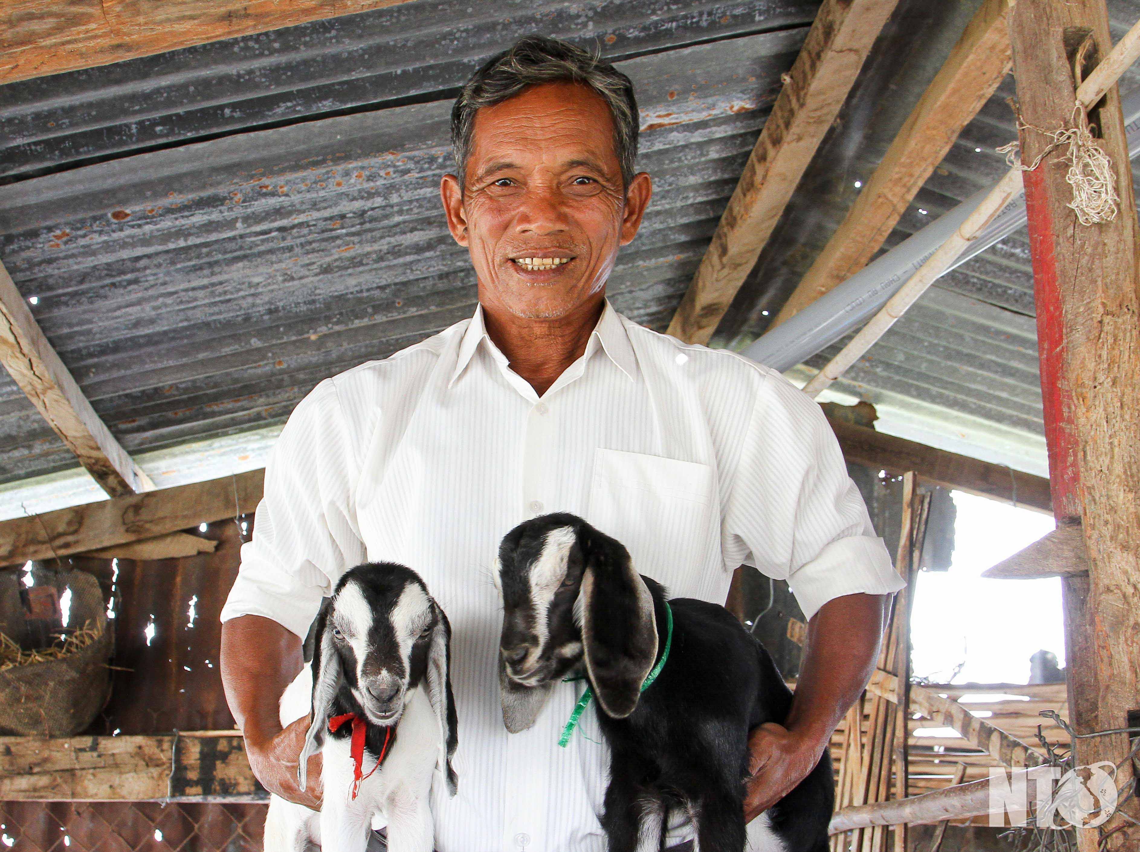 "Tỷ phú du mục" khá giả nhất làng Hậu Sanh và đàn gia súc 420 con